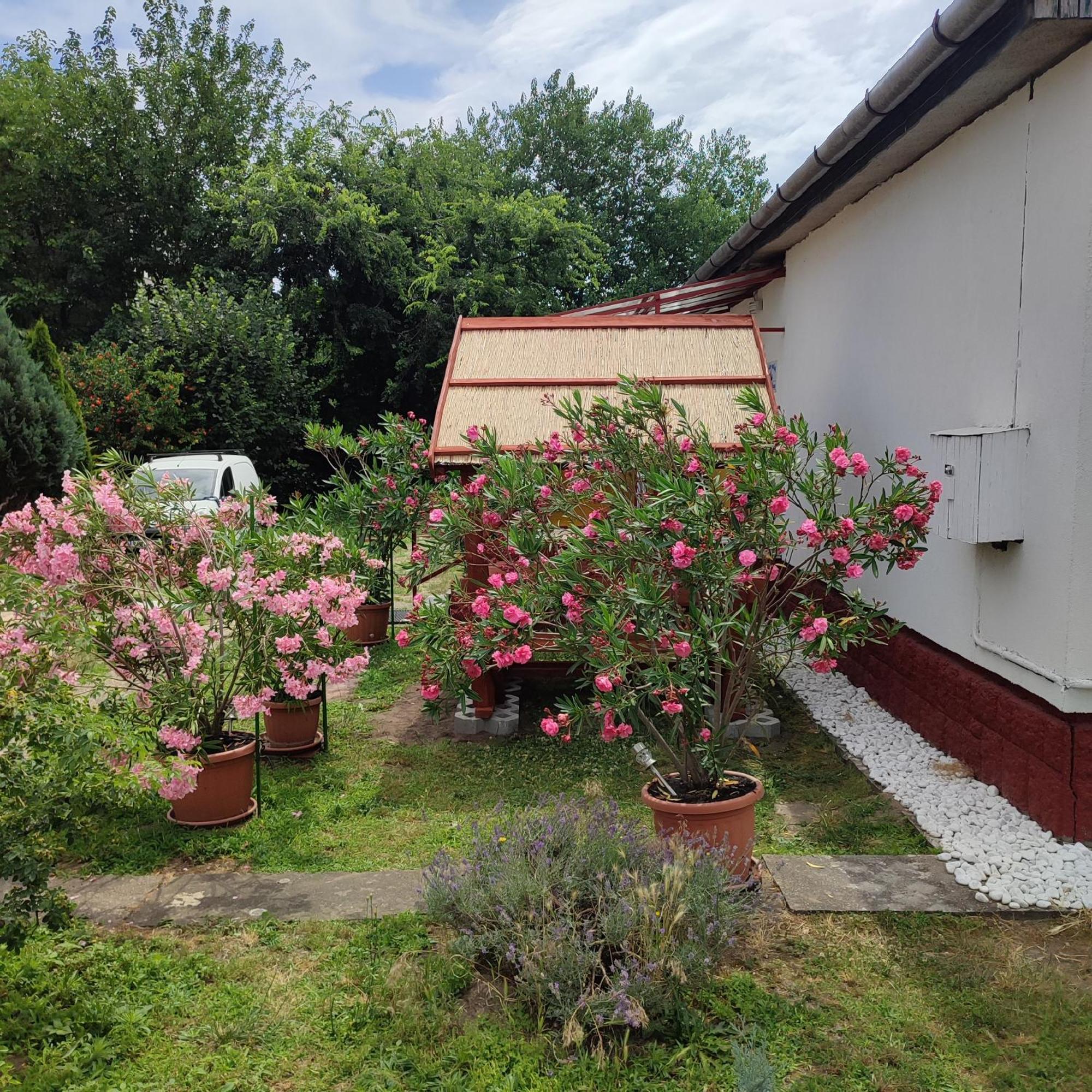 Rakos-Patak Mobile Home Garden & Free Parking Budapest Exterior photo